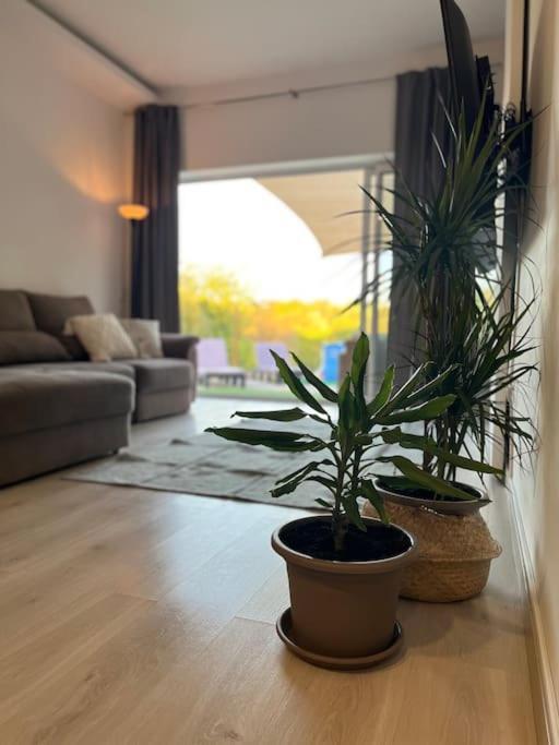 Quinta Da Alfarrobeira Peaceful Countryside Stay Φάρο Εξωτερικό φωτογραφία