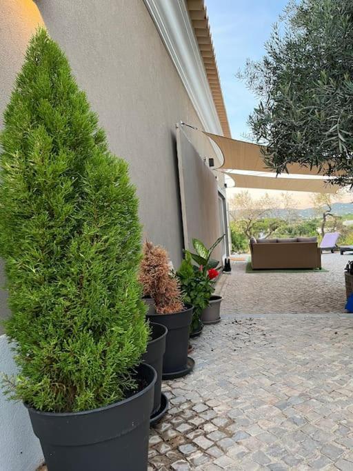 Quinta Da Alfarrobeira Peaceful Countryside Stay Φάρο Εξωτερικό φωτογραφία