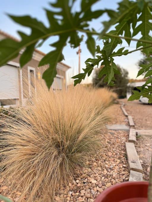 Quinta Da Alfarrobeira Peaceful Countryside Stay Φάρο Εξωτερικό φωτογραφία