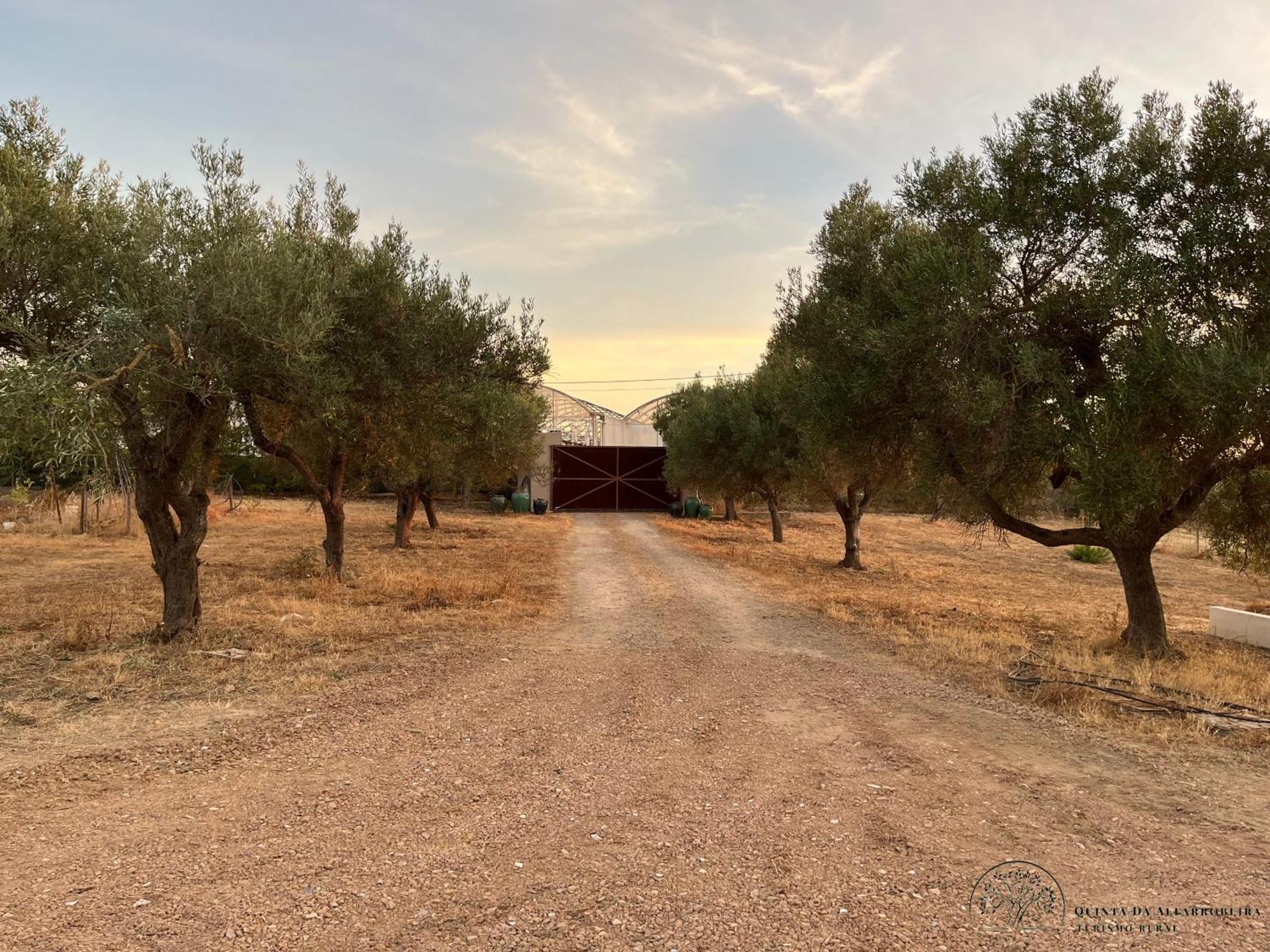 Quinta Da Alfarrobeira Peaceful Countryside Stay Φάρο Εξωτερικό φωτογραφία